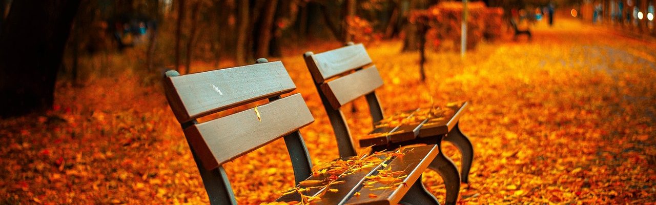 benches, autumn, park-560435.jpg